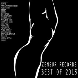 Best of Zensur Records 2013