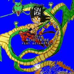 Acid Tribe
