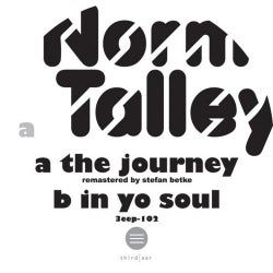 The Journey / In Yo Soul