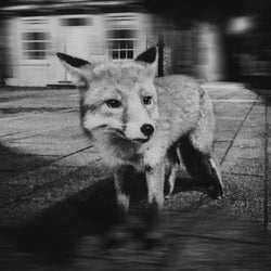 WHERE UR GOING