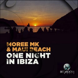 One Night In Ibiza