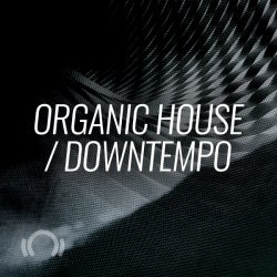 Secret Weapons: Organic House / Downtempo