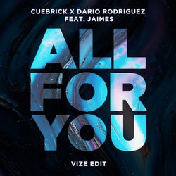 All for You (VIZE Edit)