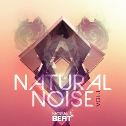 Natural Noise Vol.1