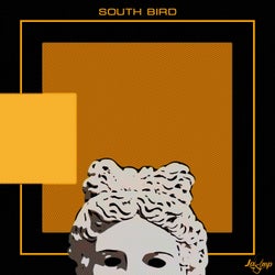 South Bird