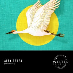 [WELTER261]