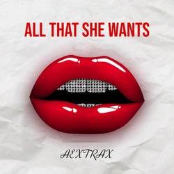 All That She Wants (Techno Remix)