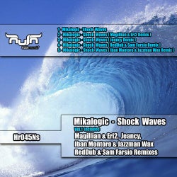 Shock Waves, Vol.1