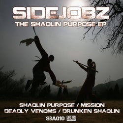 The Shaolin Purpose