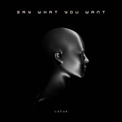 Say What You Want (Extended Mix)
