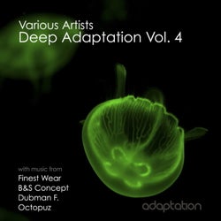 Deep Adaptation, Vol. 4