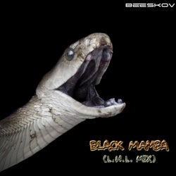 Black Mamba (L.H.L Mix)