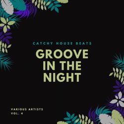 Groove In The Night (Catchy House Beats), Vol. 4