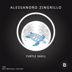 Turtle Shell EP