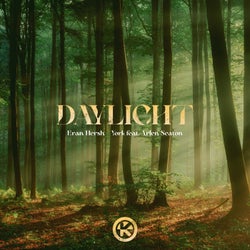 Daylight (Extended Mix)