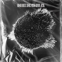 Nexora