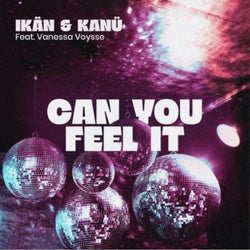 Can You Fell It feat. Vanessa Voysse