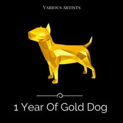 1 Year Of Gold Dog