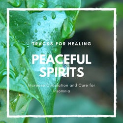 Peaceful Spirits - Tracks For Healing, Increase Circulation And Cure For Insomnia