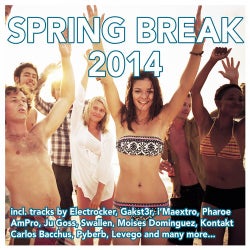 Spring Break 2014 (Deluxe Version)