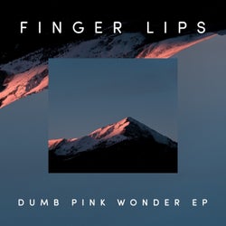 Dumb/ Pink/ Wonder