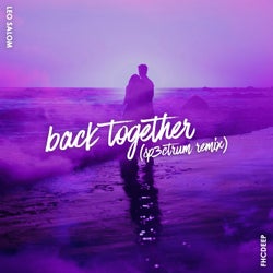 Back Together (SP3CTRUM Remix) [Extended Mix]