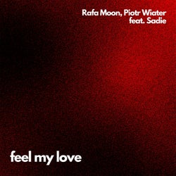Feel My Love