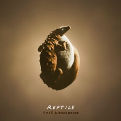 Reptile