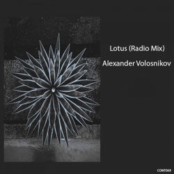 Lotus (Radio Mix)