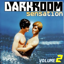 Darkroom Sensation, Vol. 2 (Best Selection of House and Tech House Tracks)