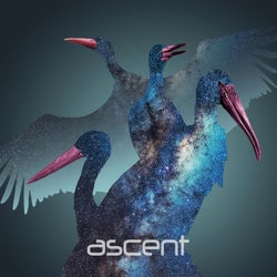 Ascent