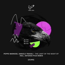 The Light Of The Night Ep