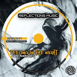 Feeling In The Night