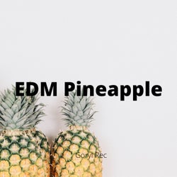 EDM Pineapple