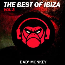 The Best of Ibiza Vol.3, compiled by Bad Monkey