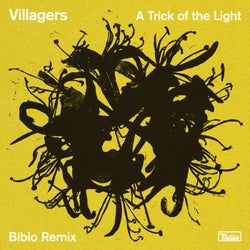 A Trick of the Light - Bibio Remix