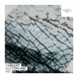 Variant Electronic 001