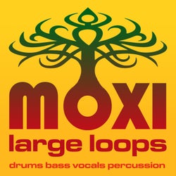 Moxi Large Loops Volume 1