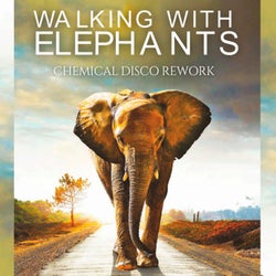 Walking With Elephants - Rework