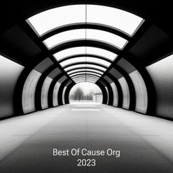 Best Of Cause Org 2023