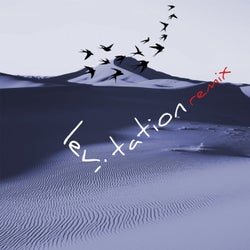 Levitation (feat. E-Qu, Peter Ries) [E-Qu Remix]