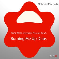 Burning Me Up (Dubs)