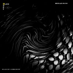 Black Circuit