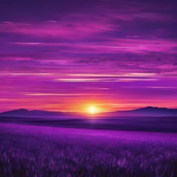 Purple Sunset chart