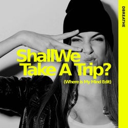 Shall We Take A Trip? (Where Is My Mind Edit)