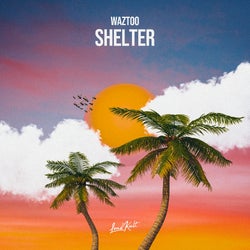WazToo - Shelter - Top 10 Charts