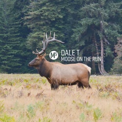 Moose on the Run