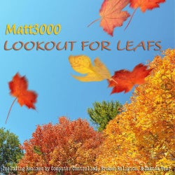 Lookout for Leafs