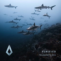 Purified Fragments XXX