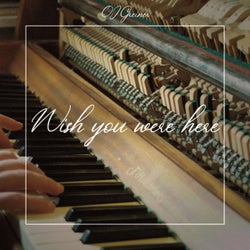 Wish you were here